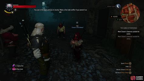 witcher 3 gangs of novigrad.